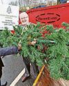 Dublin branches out with tree recycle pilot47