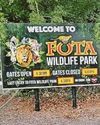 FOTA DEVELOPMENT36