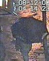 New CCTV appeal for missing Trevor25