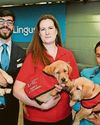 AER OF THE DOG AER OF THE DOG0