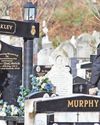 Irish Daily Star