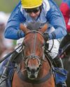 Top Kat to prove cream of the crop106