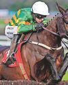 'Gaelic will not have a problem staying the Gold Cup trip'95