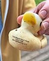 QUACK TO LIFE...5