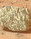Tyrannosaurus rock on Mars...44