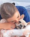 Pup rushed to vet after eating '55 crack rocks'37