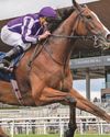 HAUK SOARS FOR O'BRIEN50