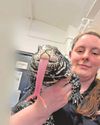 Place your pets on reptile rescuer Place your pets on reptile rescuer50