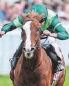 AIDAN: DERBY ULTIMATE TEST AIDAN: DERBY ULTIMATE TEST73