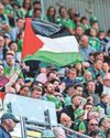 Irish Daily Star