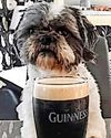 ‘PINT’ FUNDRAISER FUR A GOOD CAUSE4
