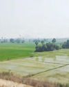 Praja Jyothi