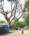 Praja Jyothi