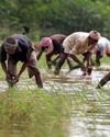 A good monsoon: Despite a dwindling share, agriculture could buttress India's growth projections amid rising global risks39