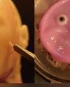 Lab grown skin gives robots the ability to smile27