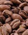 World starts waking up to Indian coffee, exports cross $1 billion first time25
