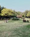 Mohali MC issues notices to RWAS over neglect of public parks11