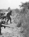 Declassified 1993 CIA study on the possibility of war between India and Pakistan23
