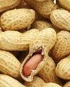 A peanut got stuck in 3-year-old's windpipe: Why are children prone to swallowing and feeding difficulties?43