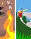 Why birds are just like us31