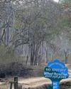 Bandipur authorities intensify awareness drives in villages surrounding the tiger reserve to prevent forest fires Indian Chronicle