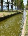 A death that spotlights irrigation problems Indian Chronicle