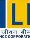 LIC earns Guinness World Record for selling highest life insurance policies in 24 hours Indian Chronicle