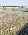 Dry spell turns into opportunity: Sabarmati River cleaning drive makes progress Indian Chronicle