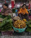 Food diversity is crucial to human and environmental health Indian Chronicle