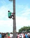 Politics of the palm: A protest wrapped in a festival in Tamil Nadu Indian Chronicle