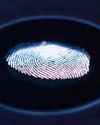 Fingerprints may also wrinkle uniquely Indian Chronicle