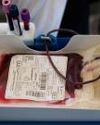 Our body’s crimson tide: understanding blood disorders and the vital role of blood donation31