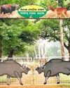 Jharkhand Forest dept plans to revive dwindling Bison population at PTR Indian Chronicle