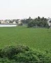 Thirumullaivoyal, a fast-developing suburb, struggles with poor roads and water woes Indian Chronicle