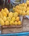 Telangana mango farmers face mid-season crisis as prices crash amid oversupply, Chittoor ban Indian Chronicle