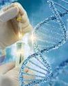Sinhalese migrated from South India, mixed heavily with Adivasi post-migration: genome study Indian Chronicle