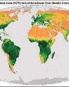 ISRO's OCM-3 Satellite Imagery unveils global patterns in Vegetation Dynamics Capital Information