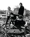 The Stranglers7