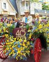 DOLLY PARTON In Full Bloom DOLLY PARTON In Full Bloom