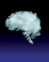 Do You Have Brain Fog? OR DO YOU JUST NEED A BREAK? Do You Have Brain Fog? OR DO YOU JUST NEED A BREAK?13
