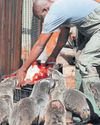 Help them get a new bakkie2