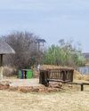 Discover Dinokeng: beyond the Big Five Discover Dinokeng: beyond the Big Five