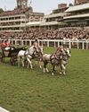 QUEEN ELIZABETH'S MAJESTIC LOVE OF ASCOT1