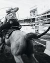 STAMPEDE!7