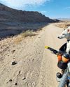 MAN, DOG, DESERT.