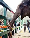 कांग्रेस ने किया डॉ. आंबेडकर का अपमान, सपा भी पीछे नहीं: योगी