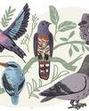 A feather for your thoughts A feather for your thoughts