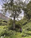 TAKE A HIKE8