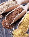 Is Millet Good for Pets?11