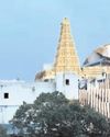 28 నుంచి మన్యం తిరుపతిలో బ్రహ్మోత్సవాలు15